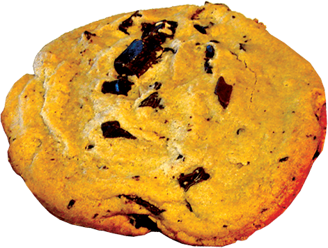 A jumbo chocolate chip cookie